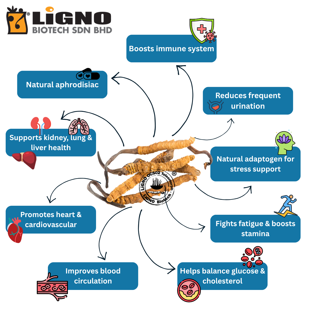 Product quality overview