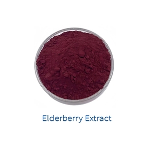 Natural Berry Taste Sambucus Nigra Elderberry Extract Powder 10:1 20:1 for Functional Beverages