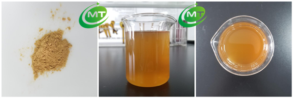 MT Health Top Quality Natural Powder Free Sample Lions Mane Mushroom Extract Hericium Erinaceus Extract