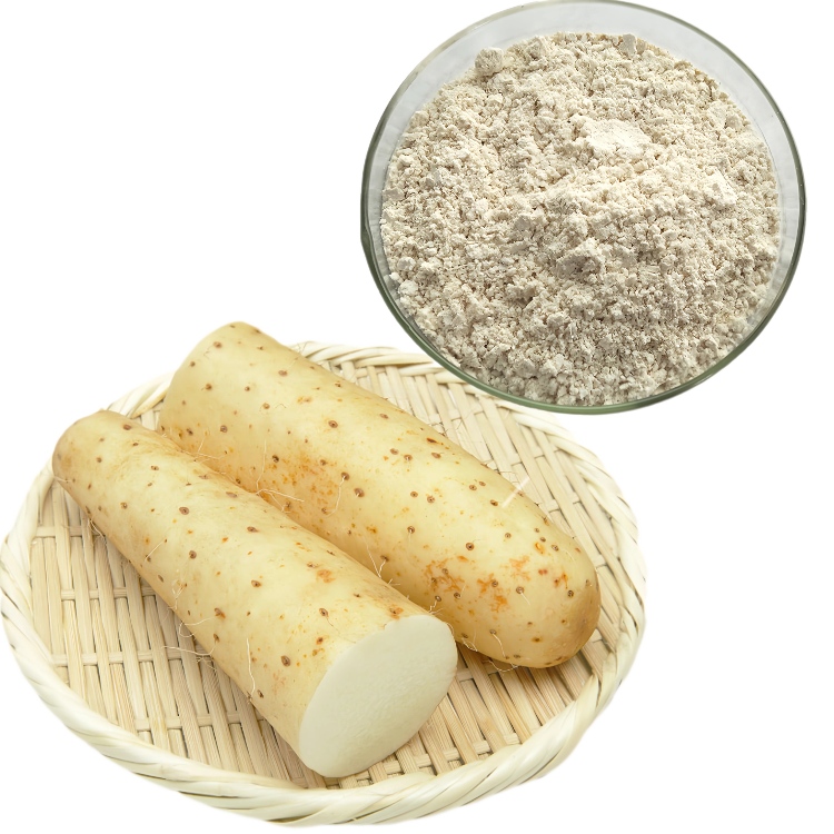 High Purity Natural Herbal Pure Quality OEM Wild Yam Root Extract