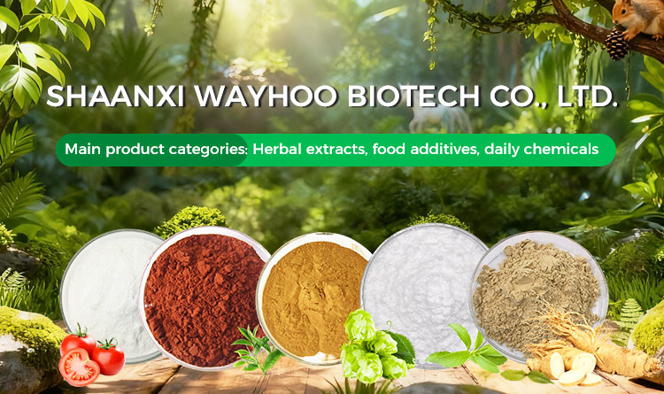 Stevia Extract Production Overview