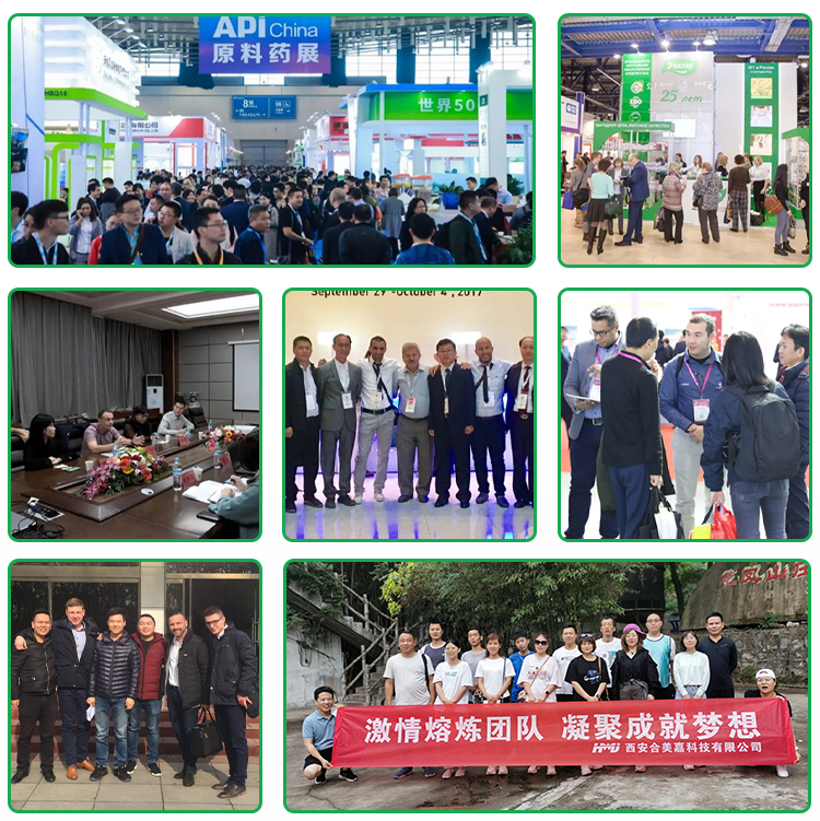 Exhibition Presence