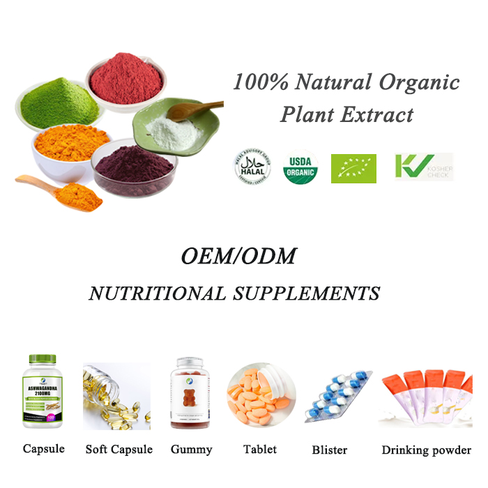Lions Mane Extract Mushrooms Supplement Hericium Erinaceus Extract 10% Polysaccharides Lion's Mane Powder