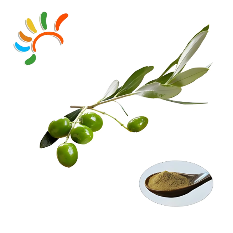 Olive Leaf Extract Details