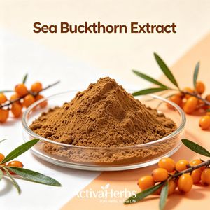 Sea Buckthorn Extract Powder Total Flavonoids