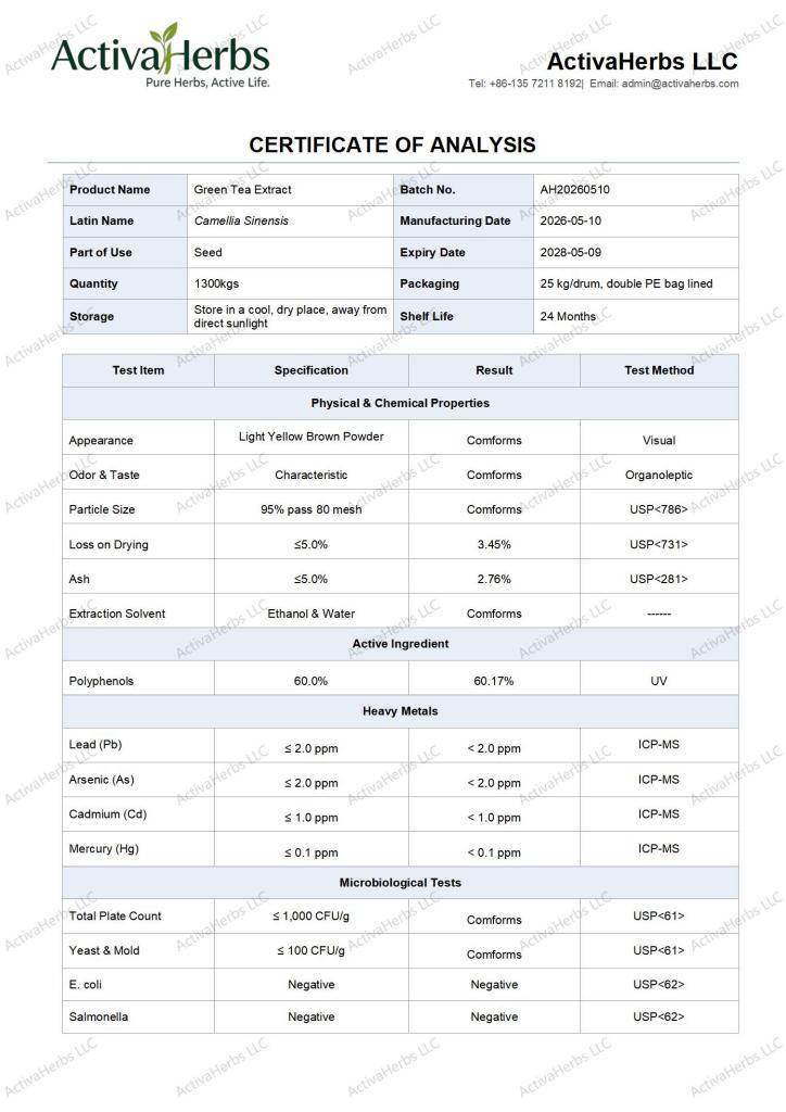 Pure Green Tea Extract Camellia Sinensis Powder 90% 98% Polyphenols Solvent UV Tested Food Grade Dietary Supplement Drum