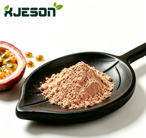 Pure Natural Freeze Dried Passion Fruit Powder