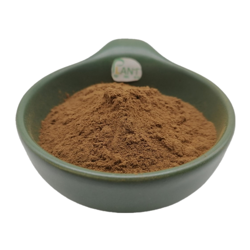 Hot Sale Natural Plant Extract 100% Arugula Herb Extract Powder 10% Polysaccharide &amp; Nitrates 1kg/Bag Fast Delivery
