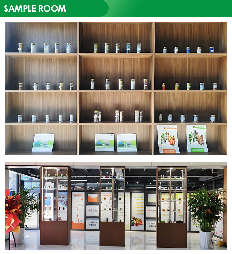 Stevia Rebaudiana Extract Processing
