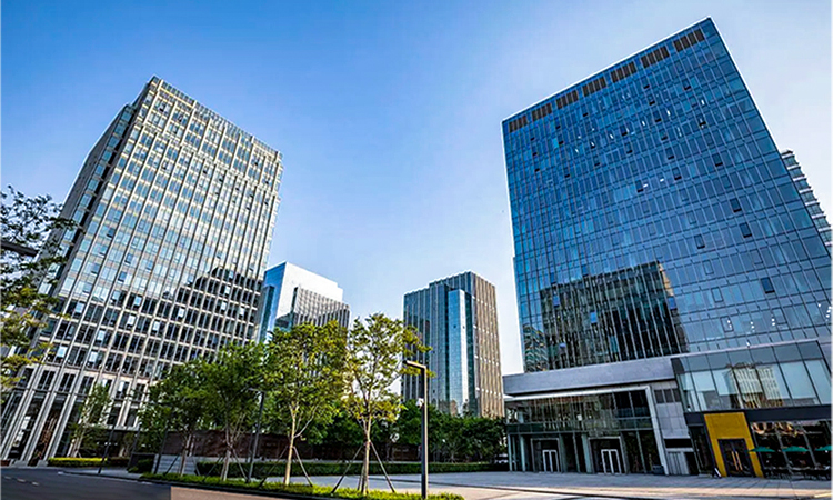 Company Overview
