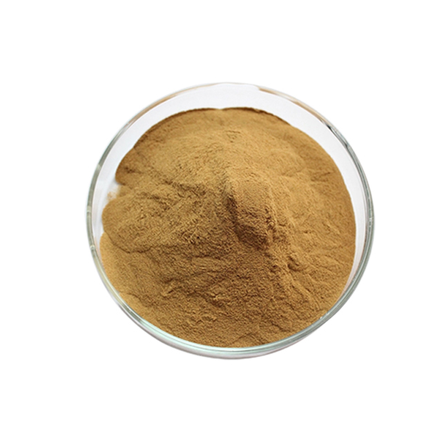 Botanical Extract Powder Detail