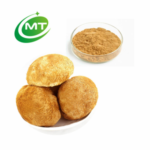 Natural Powder Free Sample Lions Mane Mushroom Extract