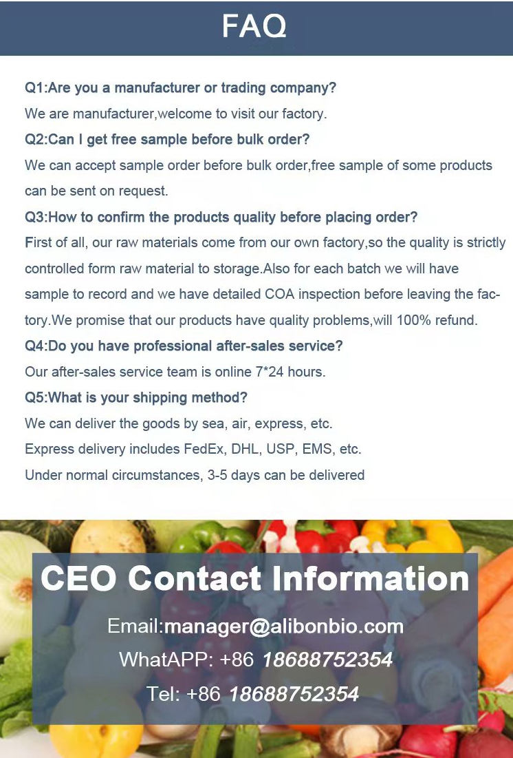 Hot Selling Bulk High Quality Dandelion Extract