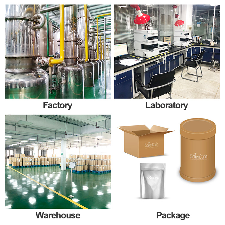 Factory Wholesale Natural Supplement Ingredient Lion's Mane Lions Mane Mushroom Extract Powder