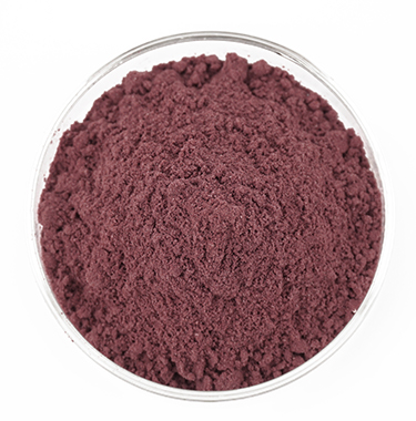 Black Carrot Extract Detail