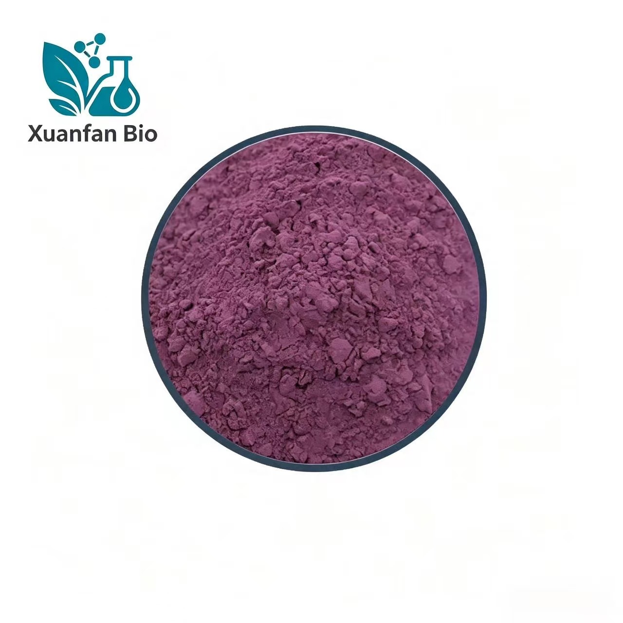 Elderberry Extract Powder Sambucus Nigra Fruit Extract Anthocyanins Natural Raw Material Food Grade Drum for Food Cosmetic Use