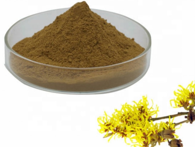 Natural Witch Hazel Leaf Powder Extract 10:1, Botanical Raw Material for Cosmetics