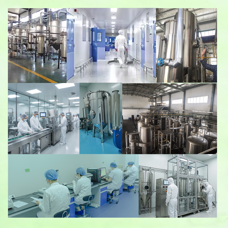 Lactobacillus Casei Active Probiotic Powder for Functional Food and Beverage Applications