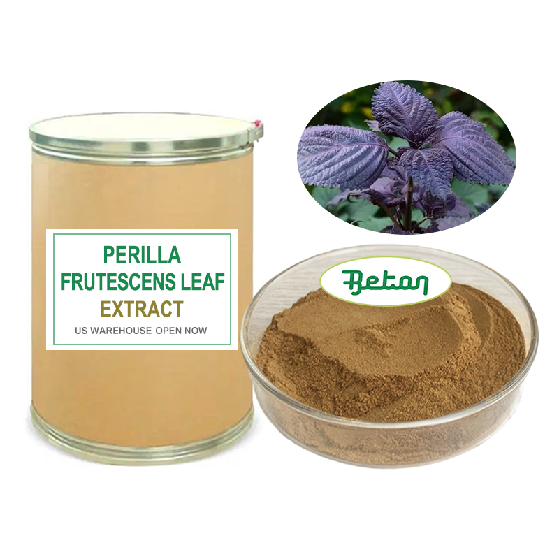 Perilla Leaf Extract Details