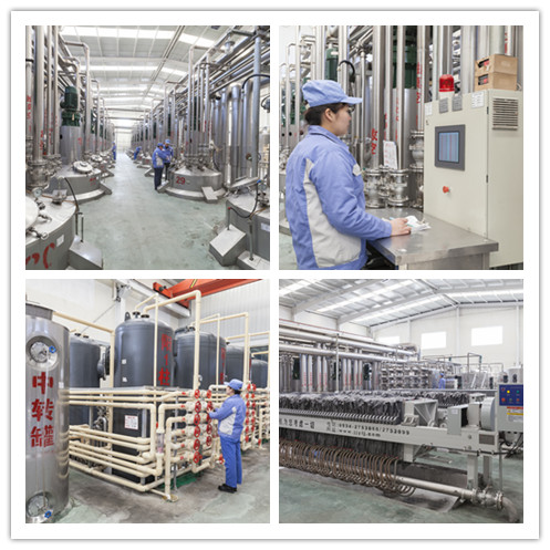 Factory Facility