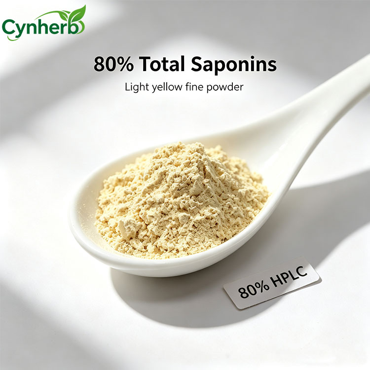 Wholesale Bulk Price Ginsenoside Powder Panax Ginseng Extract 80% Ginsenoside