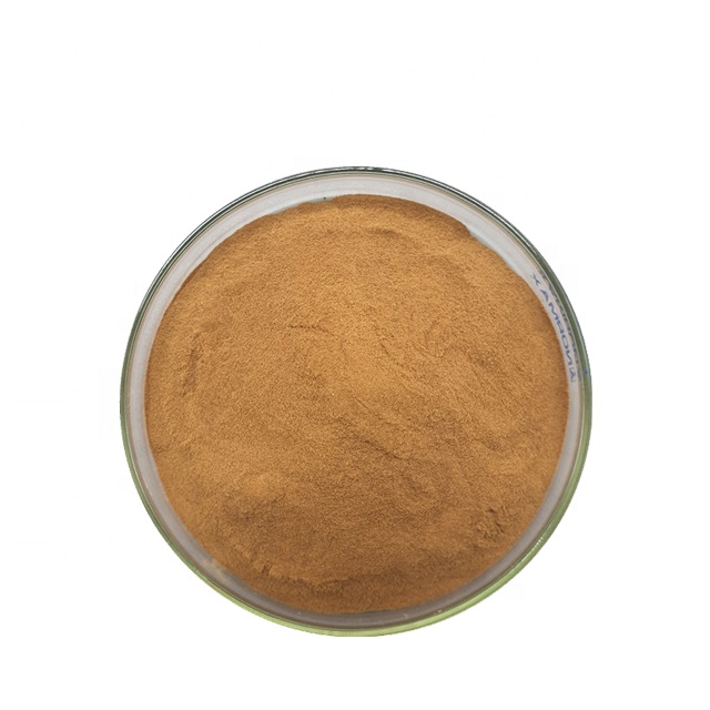 Motherwort Extract Powder 4:1 10:1 20:1 Water Soluble for Food Supplement