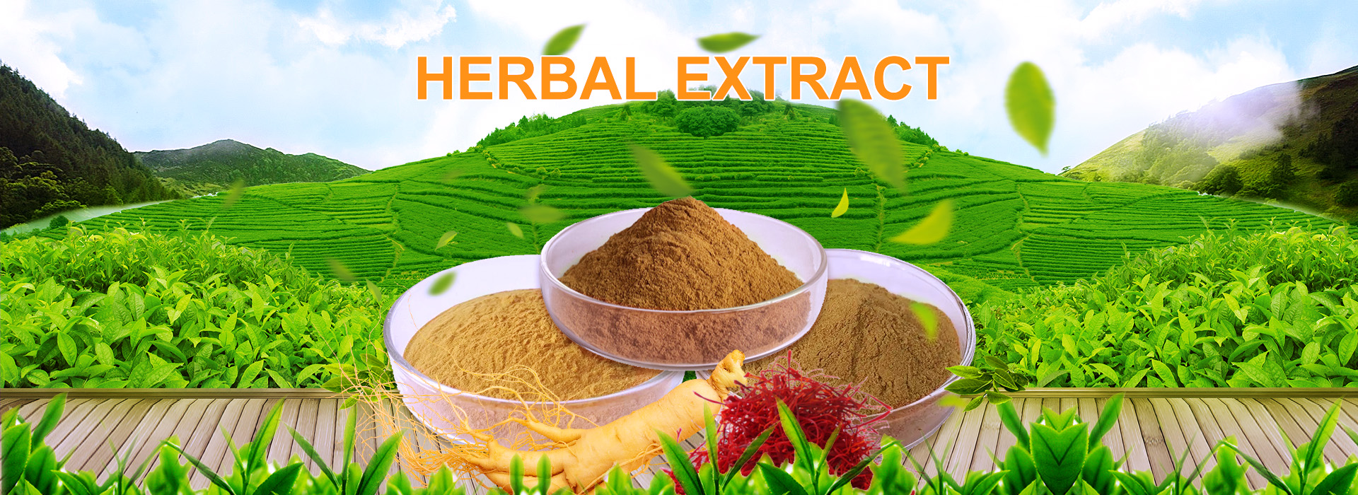 Tea Saponin Powder