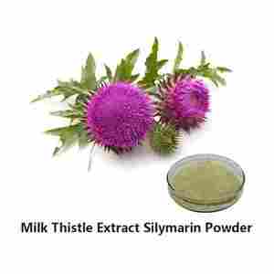 Silymarin Milk Thistle Seed Extract Powder