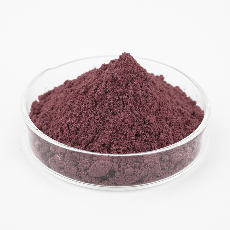 The Factory Supplies Natural Plant Extracts Best Price 10:1 20:1 Wild-Cultivated Black Carrot Extract