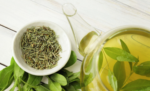 Cheap Price 100% Pure Polyphenols Decaffeinated Green Tea Extract Green Tea Extract Powder at Wholesale Price