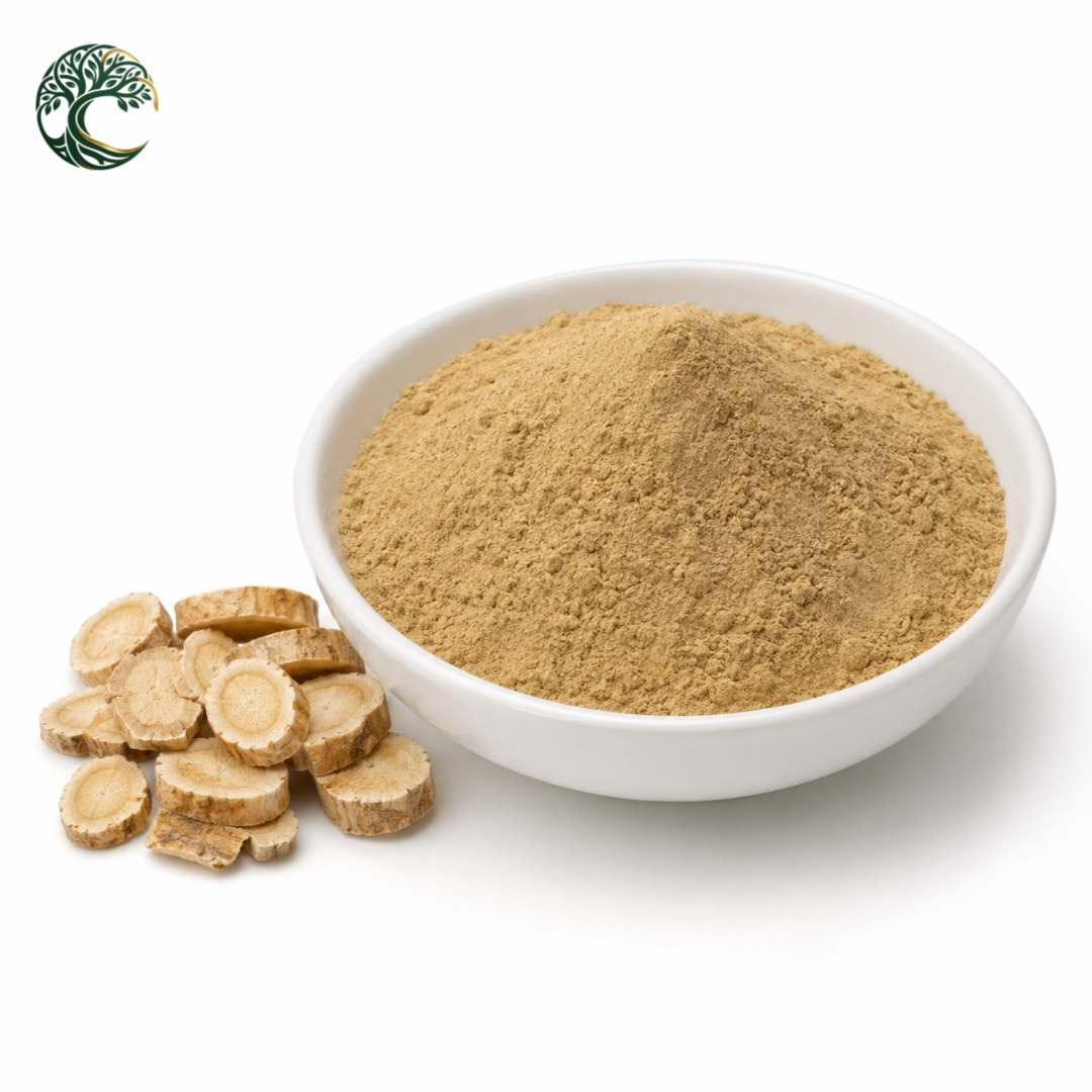 Hot Selling Astragalus Root Extract Powder Cycloastragenol 98% Bulk Herbal Raw Material for Supplement Ingredient