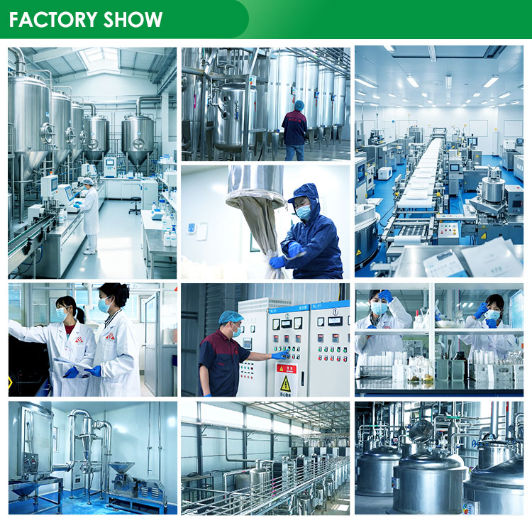 Wholesale Natural Green Tea Extract Powder Green Tea Extract 50% Polyphenol for Food Ingredient