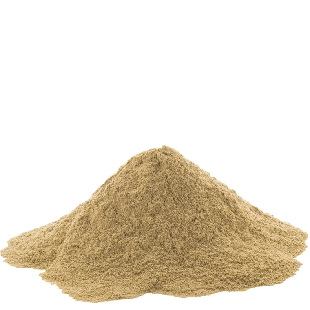 Bulk Water Extracted Bacopa Extract Powder 20% Premium Quality Food Grade Drum for Industrial Applications Best Wholesale Price