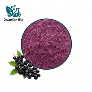 Elderberry Extract Powder Sambucus Nigra