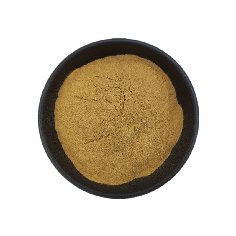High Purity Star Anise Extract Powder Source Factory Wholesale Price