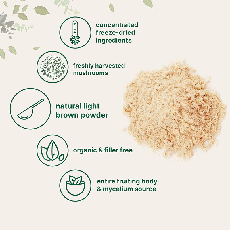 Private Label Lions Mane Herbal Extract Mushroom Powder Supplement Food &amp; Grade Bottle Packaging