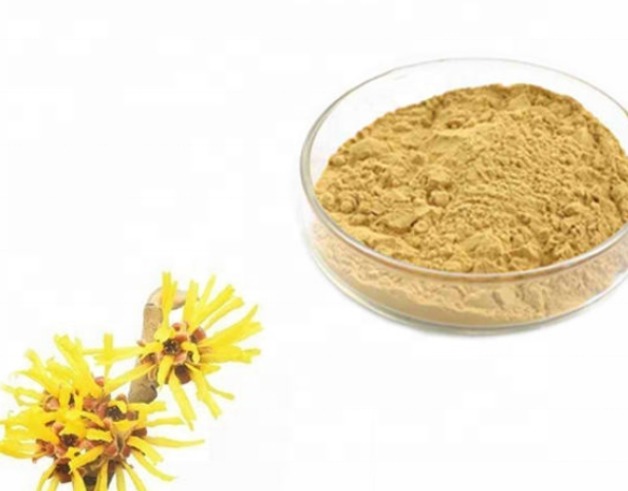Natural Witch Hazel Leaf Powder Extract 10:1, Botanical Raw Material for Cosmetics