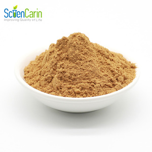 Lions Mane Mushroom Extract Powder