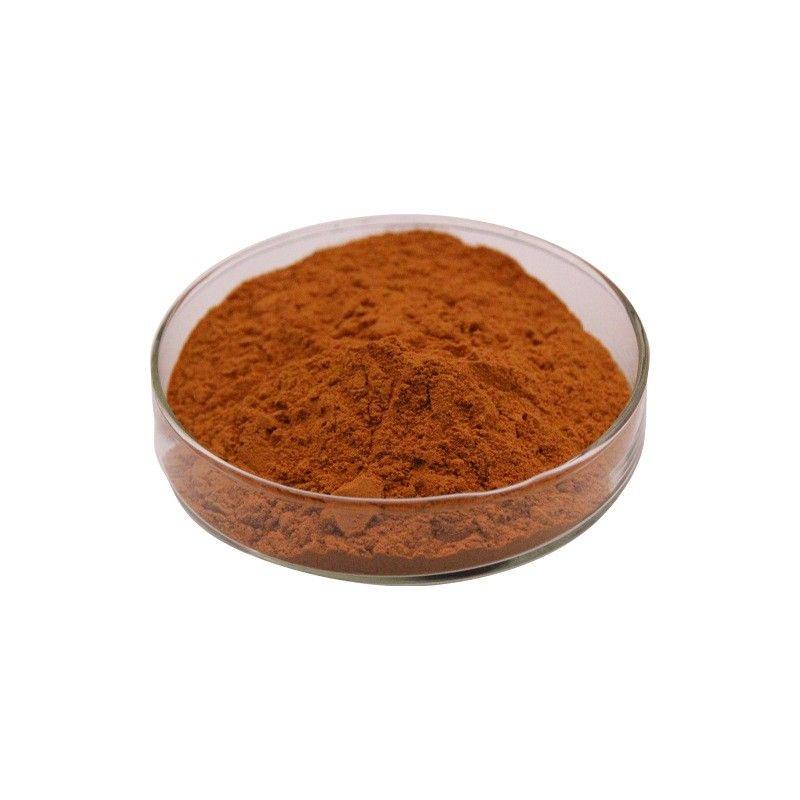 Wholesale Bulk Mushroom Blend Extract Powder Kosher Halal Certified Multi-Mushroom Complex For Natural Supplement Ingredients