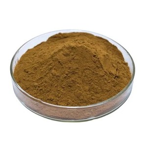 Bulk Water Extracted Bacopa Extract Powder