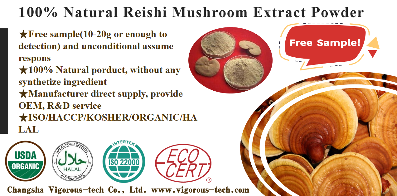 Fast Delivery in 24 Hours Pure Red Reishi Mushroom Broken Spore Extract Powder
