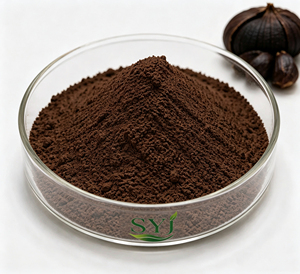 High Purity Botanical Extract Powder Natural Food Grade