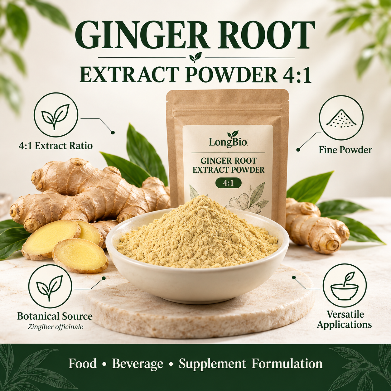 Ginger Root Extract 4:1 Powder Zingiber Officinale Gingerol Botanical Extract Natural Plant Extract Powder Extract