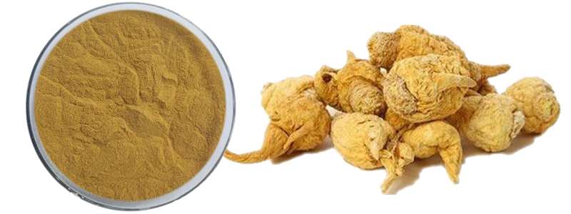 Maca Functions