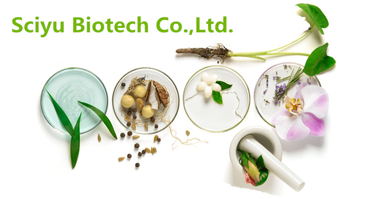 Elderberry Extract Product Show