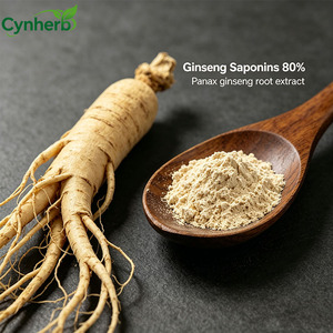 Panax Ginseng Extract 80% Ginsenoside