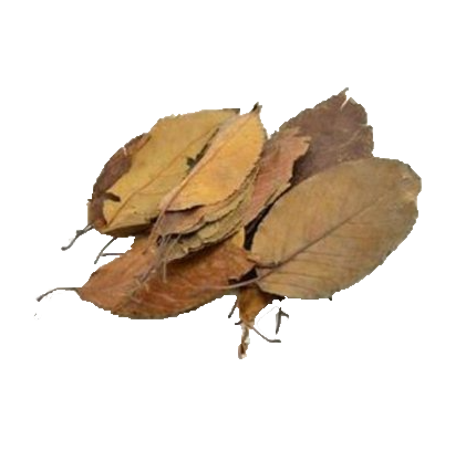 Health Food Ingredients Hawthorne Berry Supplements 10:1 20:1 Hawthorn Berry Leaf Extract Powder