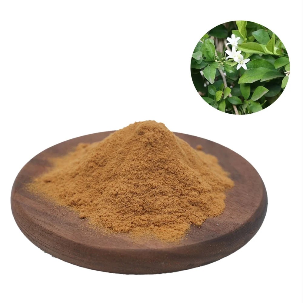 Bulk Water Extracted Bacopa Extract Powder 20% Premium Quality Food Grade Drum for Industrial Applications Best Wholesale Price