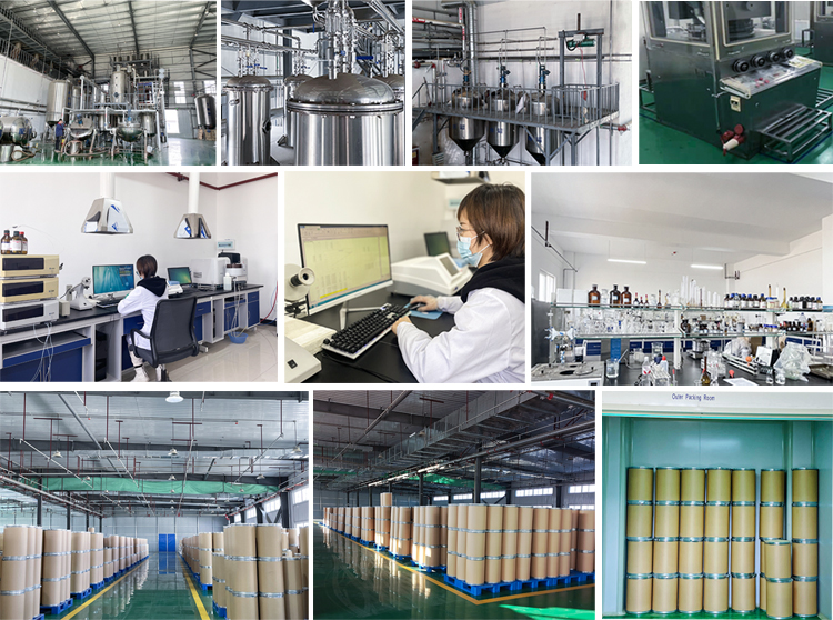 Our Facilities and Factory
